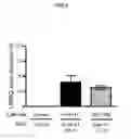 Fig. 03 - Antisense compounds targeting leucine-rich repeat kinase 2 (LRRK2) for the treatment of parkinsons disease