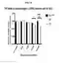 Fig. 16 - Antisense compounds targeting leucine-rich repeat kinase 2 (LRRK2) for the treatment of parkinsons disease