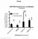 Fig. 20 - Antisense compounds targeting leucine-rich repeat kinase 2 (LRRK2) for the treatment of parkinsons disease