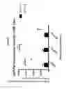 Fig. 24 - Antisense compounds targeting leucine-rich repeat kinase 2 (LRRK2) for the treatment of parkinsons disease