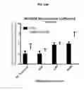 Fig. 25 - Antisense compounds targeting leucine-rich repeat kinase 2 (LRRK2) for the treatment of parkinsons disease
