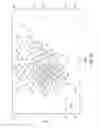 Fig. 12 - Independently inducible system of gene expression