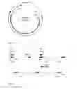 Fig. 03 - Process for producing chimeric cyclooligodepsipeptides in filamentous fungi