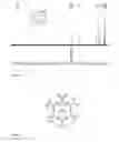 Fig. 06 - Process for producing chimeric cyclooligodepsipeptides in filamentous fungi