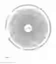 Fig. 07 - Process for producing chimeric cyclooligodepsipeptides in filamentous fungi