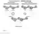 Fig. 12 - Process for producing chimeric cyclooligodepsipeptides in filamentous fungi