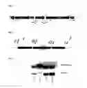 Fig. 02 - Transcription factors that regulate nicotine biosynthesis in tobacco