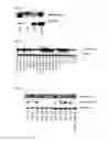 Fig. 10 - Transcription factors that regulate nicotine biosynthesis in tobacco