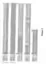Fig. 02 - STRESS TOLERANT WHEAT PLANTS