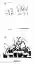 Fig. 06 - STRESS TOLERANT WHEAT PLANTS
