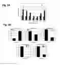 Fig. 03 - Double strand RNA-mediated RNA interference through feeding detrimental to larval (gypsy moth)