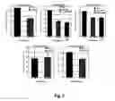 Fig. 06 - Double strand RNA-mediated RNA interference through feeding detrimental to larval (gypsy moth)