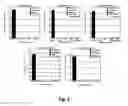 Fig. 07 - Double strand RNA-mediated RNA interference through feeding detrimental to larval (gypsy moth)