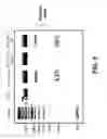 Fig. 08 - METHODS AND COMPOSITIONS FOR INCREASING RNA ACTIVITY IN A CELL