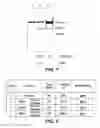 Fig. 11 - METHODS AND COMPOSITIONS FOR INCREASING RNA ACTIVITY IN A CELL