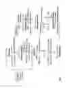 Fig. 02 - Bacteria engineered for conversion of ethylene to ethanol