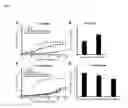 Fig. 06 - RECOMBINANT CELLS AND METHODS FOR NONPHOSPHORYLATIVE METABOLISM