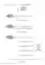 Fig. 22 - Methods for high fidelity production of long nucleic acid molecules