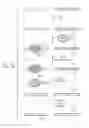 Fig. 23 - Methods for high fidelity production of long nucleic acid molecules