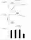 Fig. 04 - METHODS FOR MODULATING PROTEIN GLYCOSYLATION PROFILES OF RECOMBINANT PROTEIN THERAPEUTICS USING MONOSACCHARIDES AND OLIGOSACCHARIDES