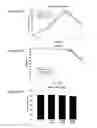 Fig. 12 - METHODS FOR MODULATING PROTEIN GLYCOSYLATION PROFILES OF RECOMBINANT PROTEIN THERAPEUTICS USING MONOSACCHARIDES AND OLIGOSACCHARIDES