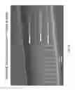 Fig. 11 - Microfluidic device