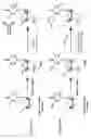 Fig. 02 - Methods and compositions for labeling nucleic acids