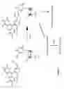 Fig. 04 - Methods and compositions for labeling nucleic acids