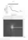 Fig. 10 - Nucleic acid sample preparation