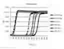 Fig. 04 - Solid phase isothermal amplification