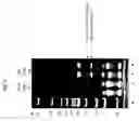Fig. 06 - Methods and kits for reducing adapter-dimer formation