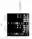 Fig. 07 - Methods and kits for reducing adapter-dimer formation