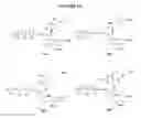 Fig. 63 - Methods of using nucleotide analogues