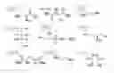 Fig. 68 - Methods of using nucleotide analogues