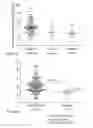 Fig. 10 - Prognostic mean telomere length