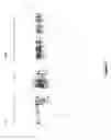 Fig. 25 - Prognostic mean telomere length
