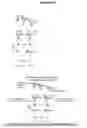 Fig. 18 - METHODS OF IDENTIFYING ENZYMES AND MICROORGANISMS