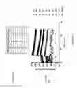 Fig. 02 - Growth-independent detection of cells