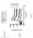 Fig. 03 - Growth-independent detection of cells