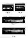 Fig. 02 - Reagents and methods for detecting HCV