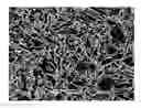 Fig. 02 - Method for producing a high strength coated steel sheet having improved strength, formability and obtained sheet