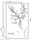 Fig. 02 - PROCESS AND APPARATUS FOR DRY GRANULATION OF SLAG WITH REDUCED FORMATION OF SLAG WOOL
