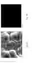 Fig. 04 - Surface treatment method on Micro-arc Oxidation treated Mg alloys