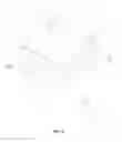 Fig. 05 - NON-WOVEN FABRIC