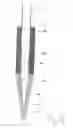Fig. 06 - Screwthreaded pole