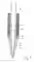 Fig. 08 - Screwthreaded pole