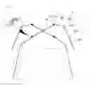 Fig. 06 - Foldable frame for instant tent