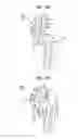 Fig. 07 - Daylighting slat and daylighting device