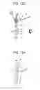 Fig. 14 - Daylighting slat and daylighting device