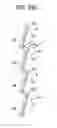Fig. 28 - Daylighting slat and daylighting device